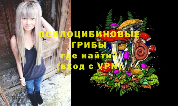 спайс Алексин