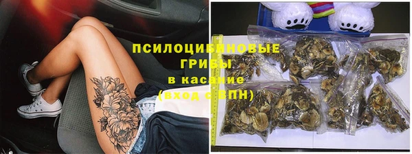 сатива Алексеевка